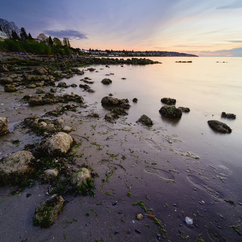 Cover Image for van-techies July Beach Meetup