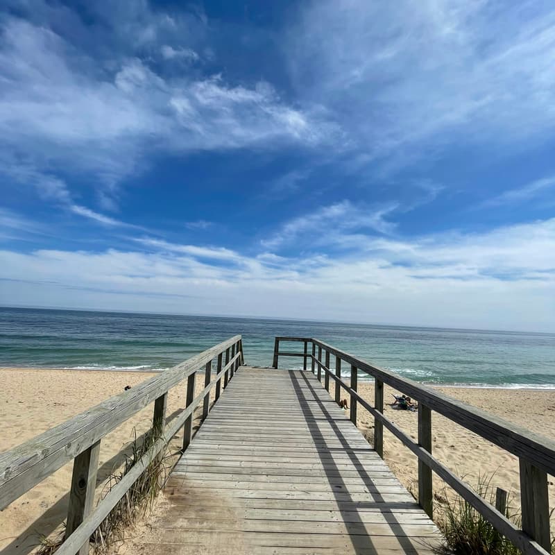 Cover Image for Summer Retreat: The Hamptons