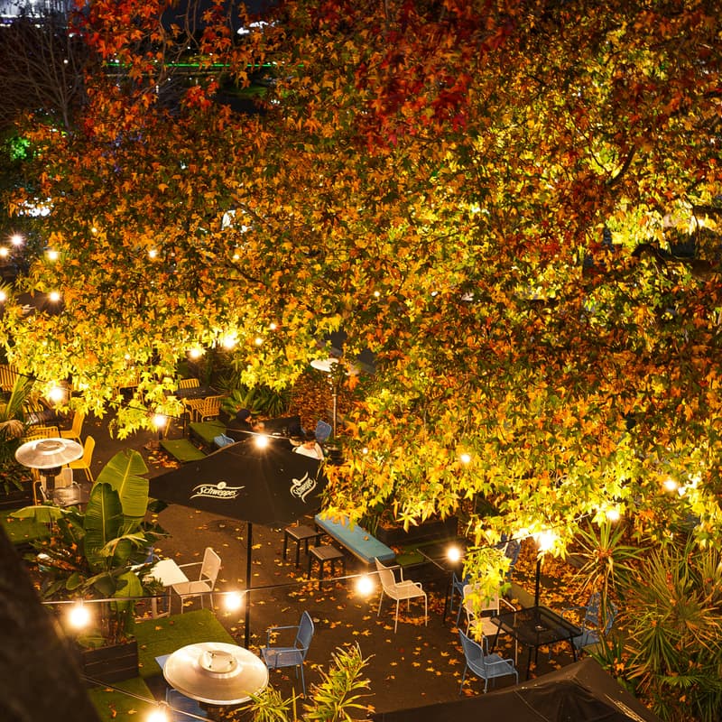 Cover Image for NYC CTOs & Tech Founders Night: Secret Garden Edition