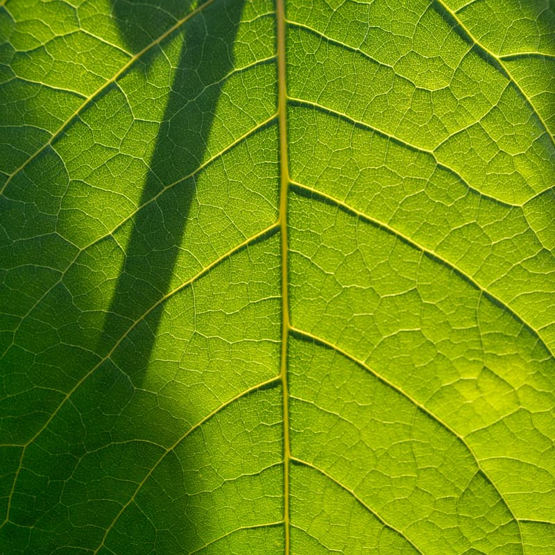 Cover Image for ZIELONO MI 📅 15 października (czwartek), 20:30