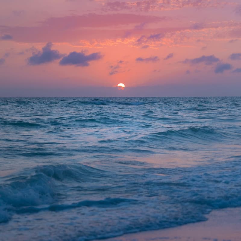 Cover Image for (Rescheduling) Recruiters @ Beachfront Rooftop @ Sunset #LATechWeek 2024 (Rescheduling)