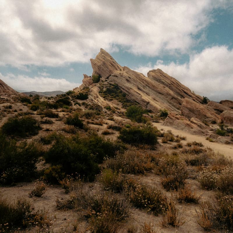 Cover Image for Desert Discovery at Vasquez Rocks