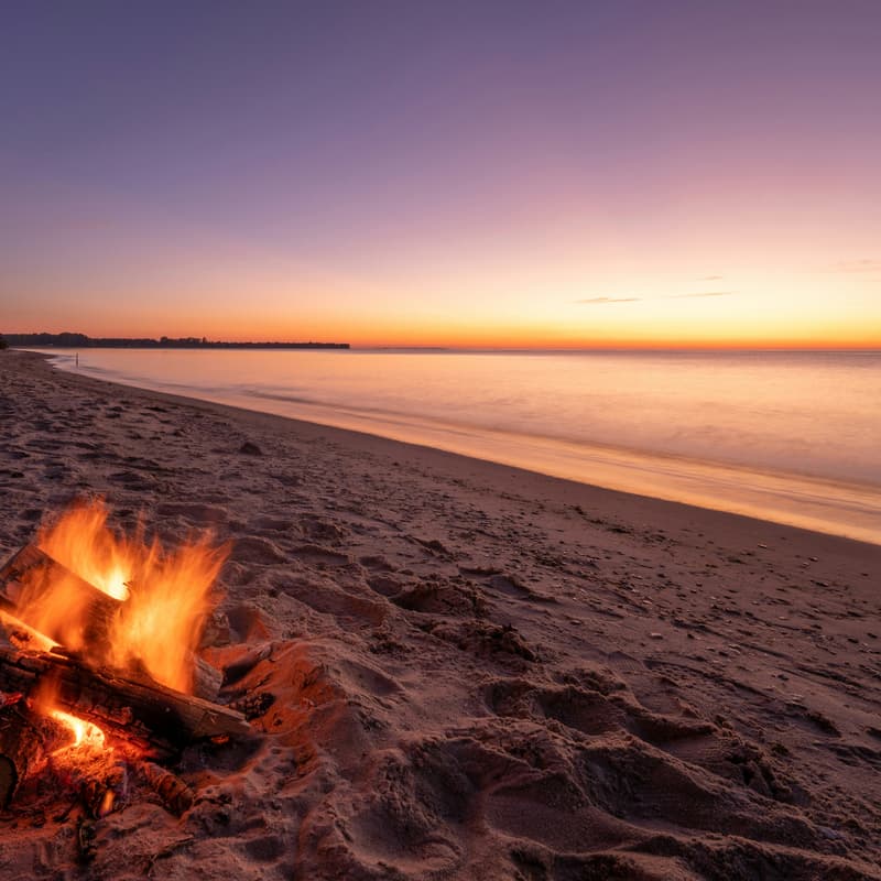 Cover Image for CV Ocean Beach Bonfire