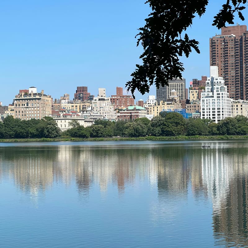 Cover Image for Central Park Reservoir Walk