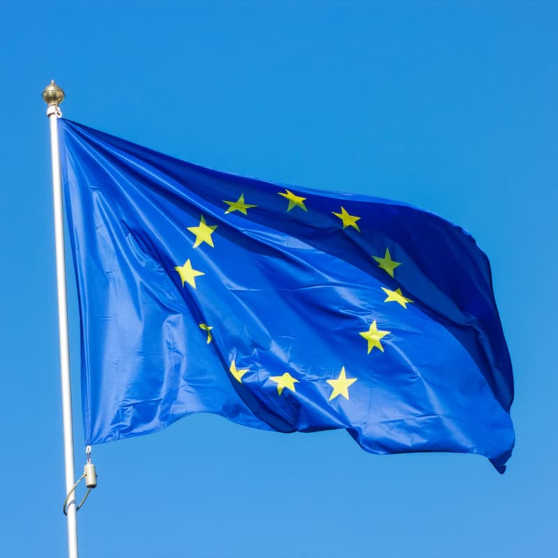 Cover Image for EU-netværksmøde for civilsamfundet: Hvem gavner det 28. regime?