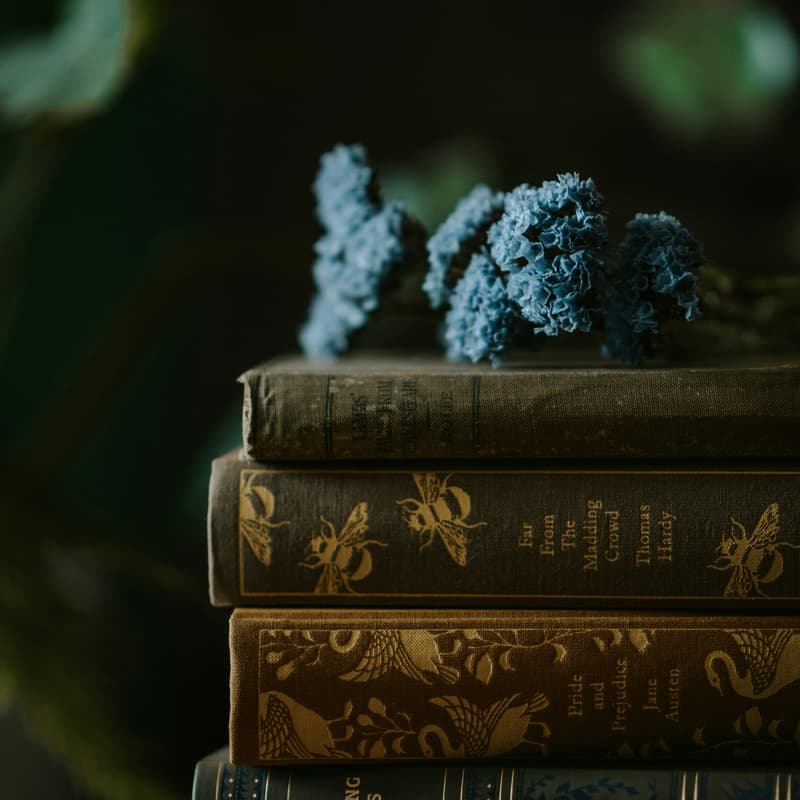 Cover Image for The Collective Chapter Book Club by Her Collective