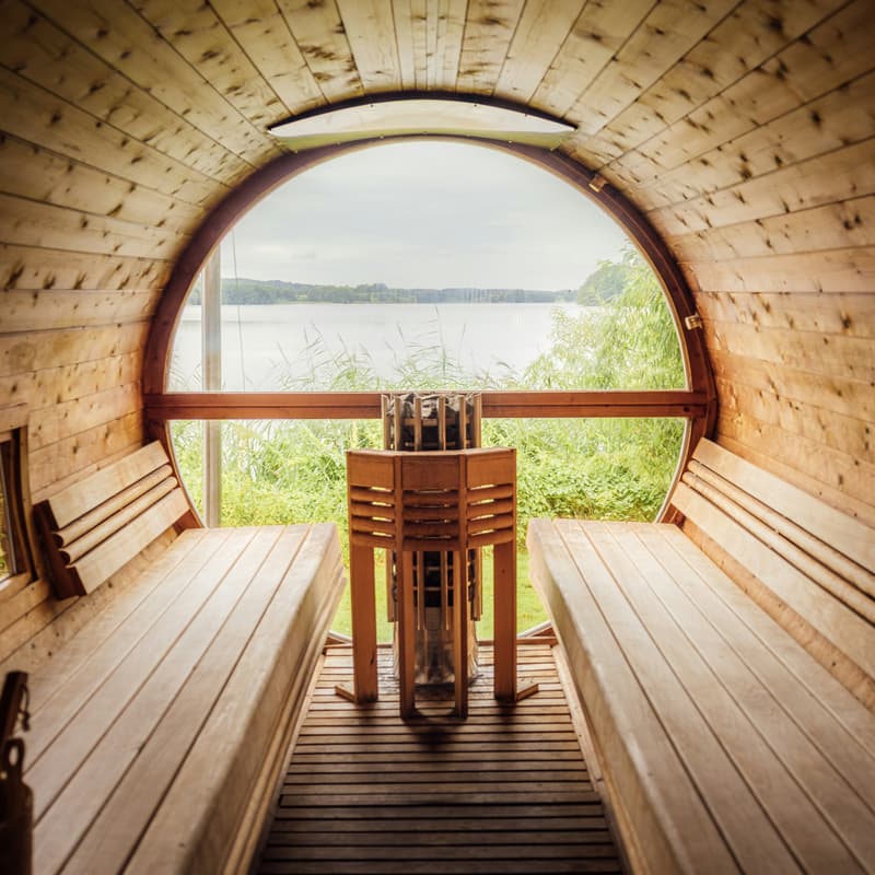 Cover Image for Cap and Invest: Who Captures the Return? sauna fireside chat on carbon markets