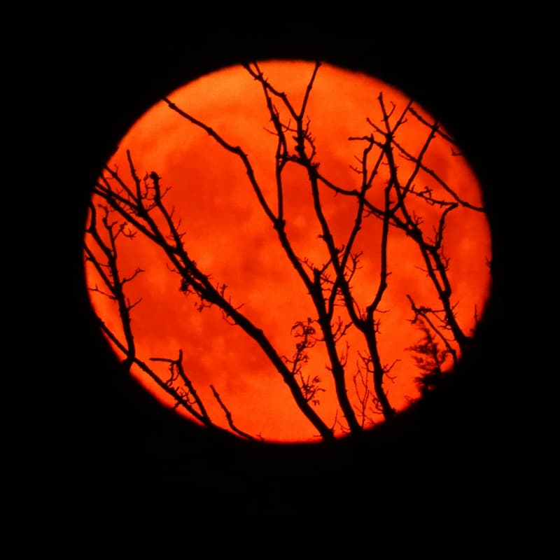 Cover Image for Aries Full Moon