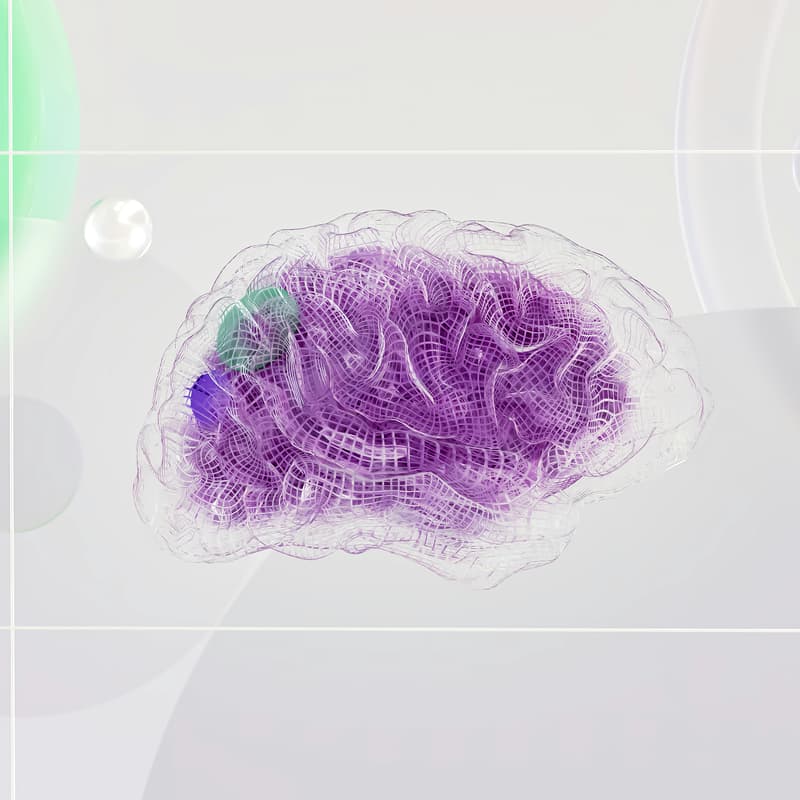 Cover Image for The Myths/Truths of the Creative Brain