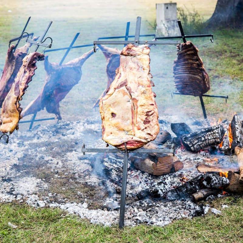 Cover Image for SOLxAR - asaDAO 🍖