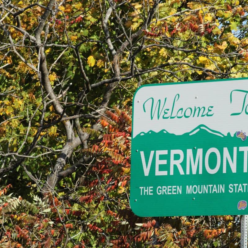 Cover Image for Sbur Vermont Chapter Launch