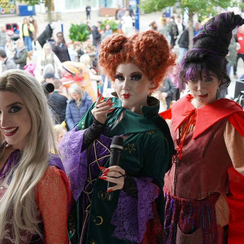 Cover Image for Movie In The Park: Hocus Pocus