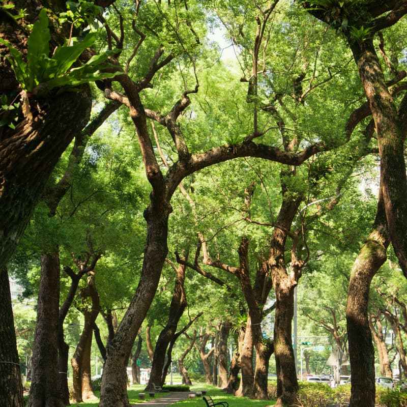 Cover Image for Sustainability Coffee Hike: Meet, Walk & Chill @ Sherwood Park