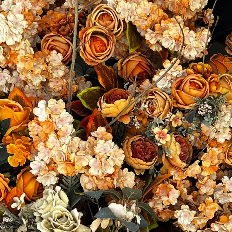 Cover Image for Bloom & Grow November