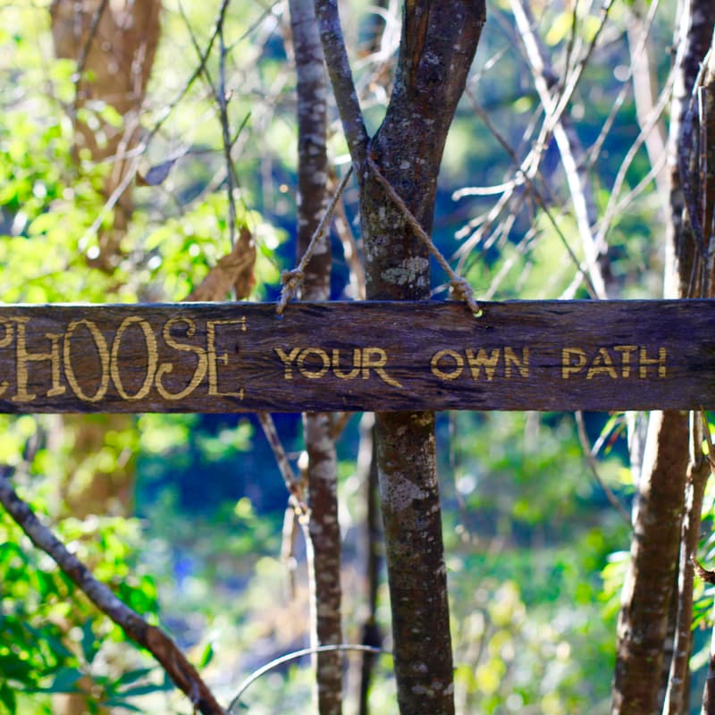 Cover Image for Quest Path LIVE