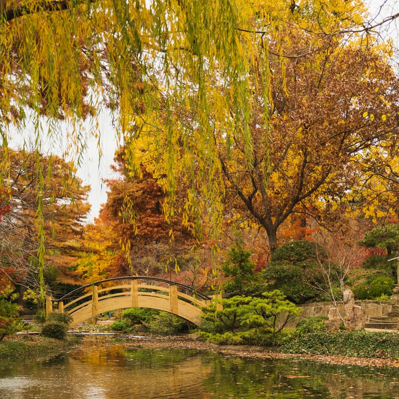 Cover Image for Morikami Museum Walk & Optional Lunch