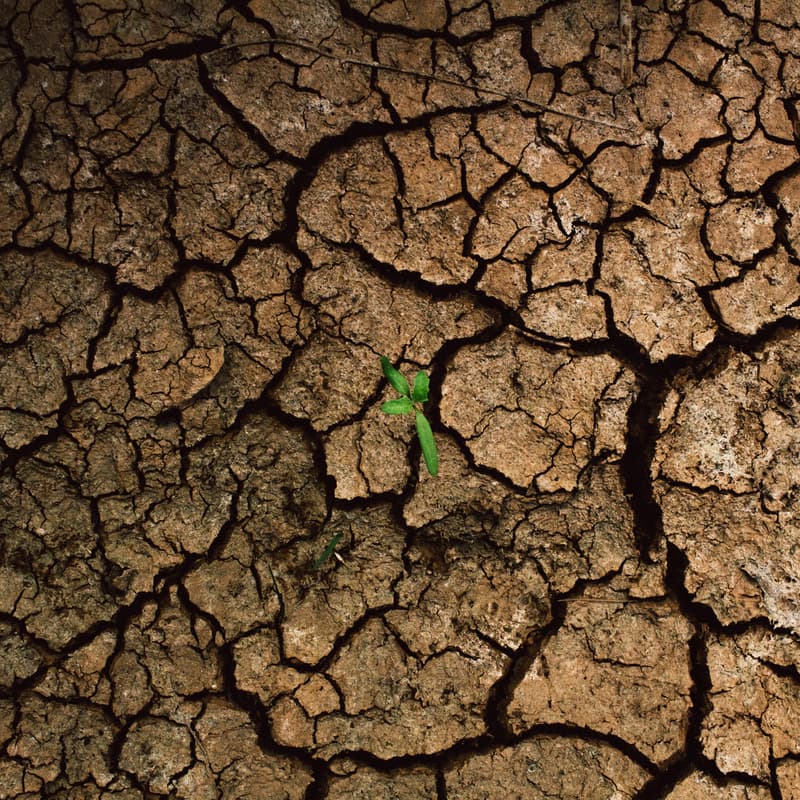 Cover Image for Unequal distribution of climate harms: the international climate legal framework, loss and damage and their financial underpinnings