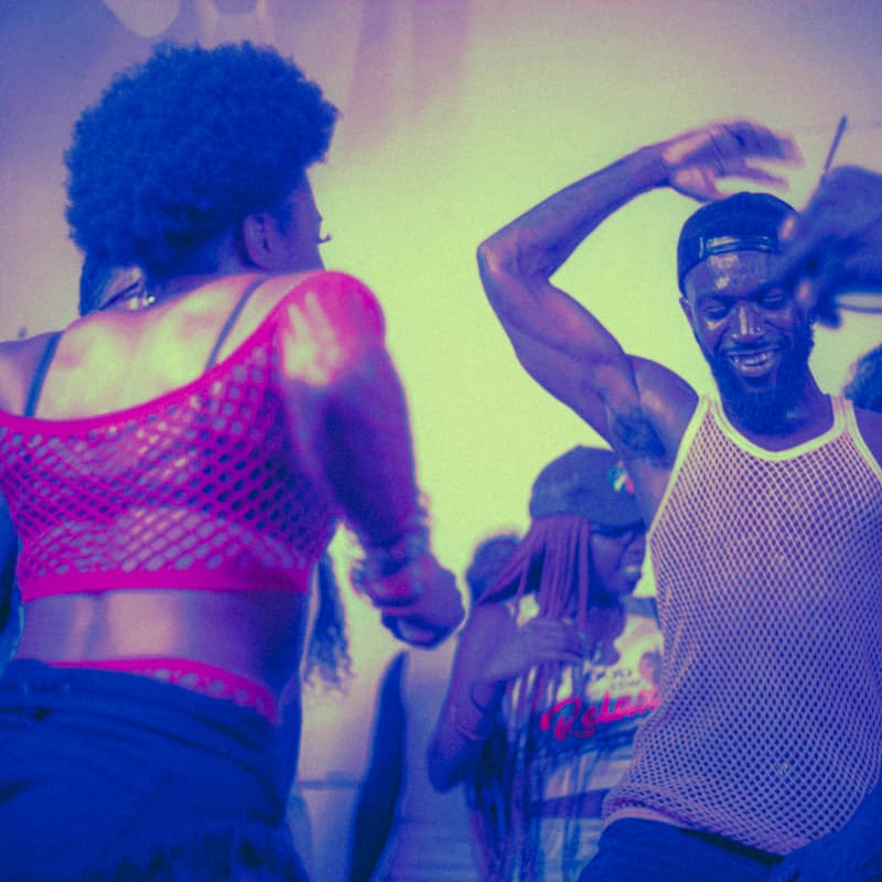Cover Image for Dance Cleanse