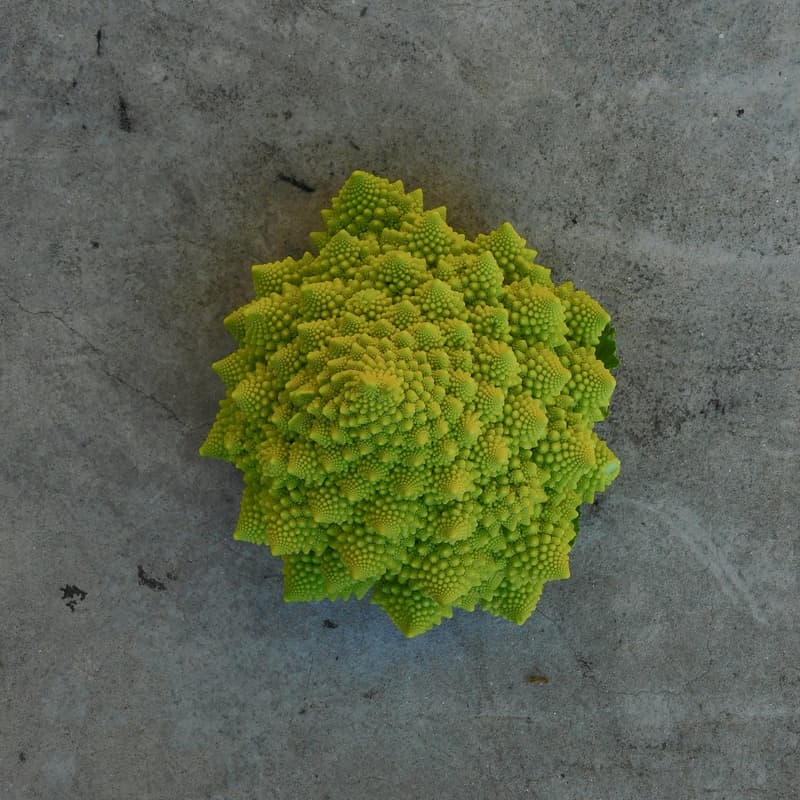 Cover Image for Public Fractal Community Exchange