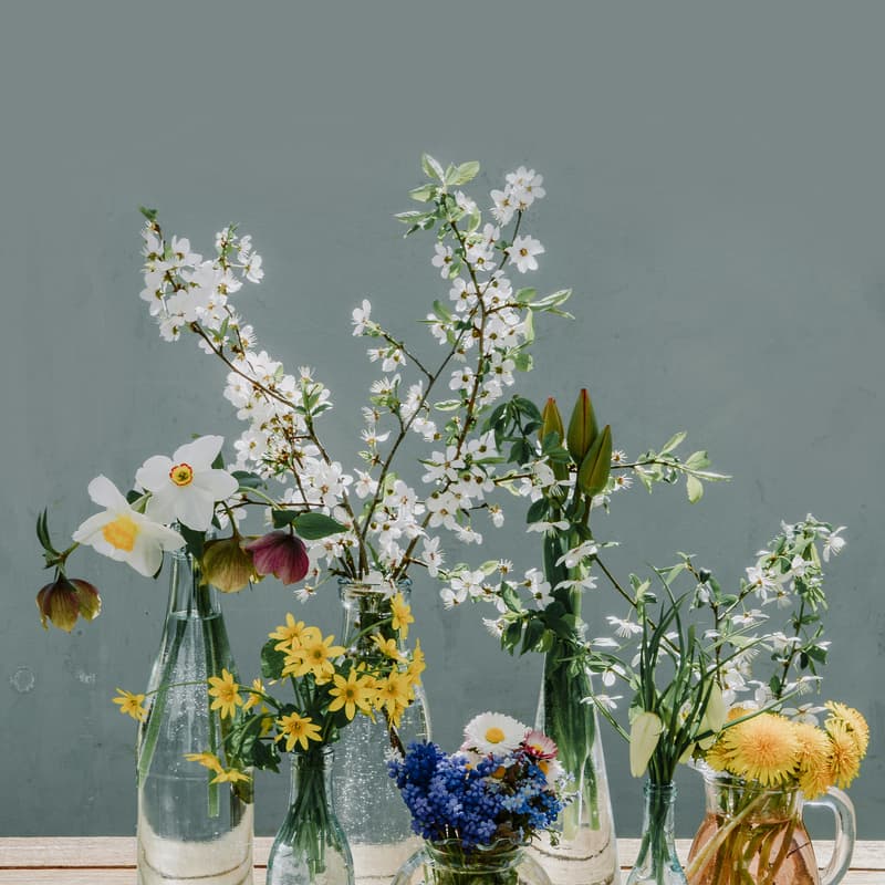 Cover Image for Bloom in NYC: A Flower Arranging Workshop for Founders & Investors | Sponsored by J.P. Morgan