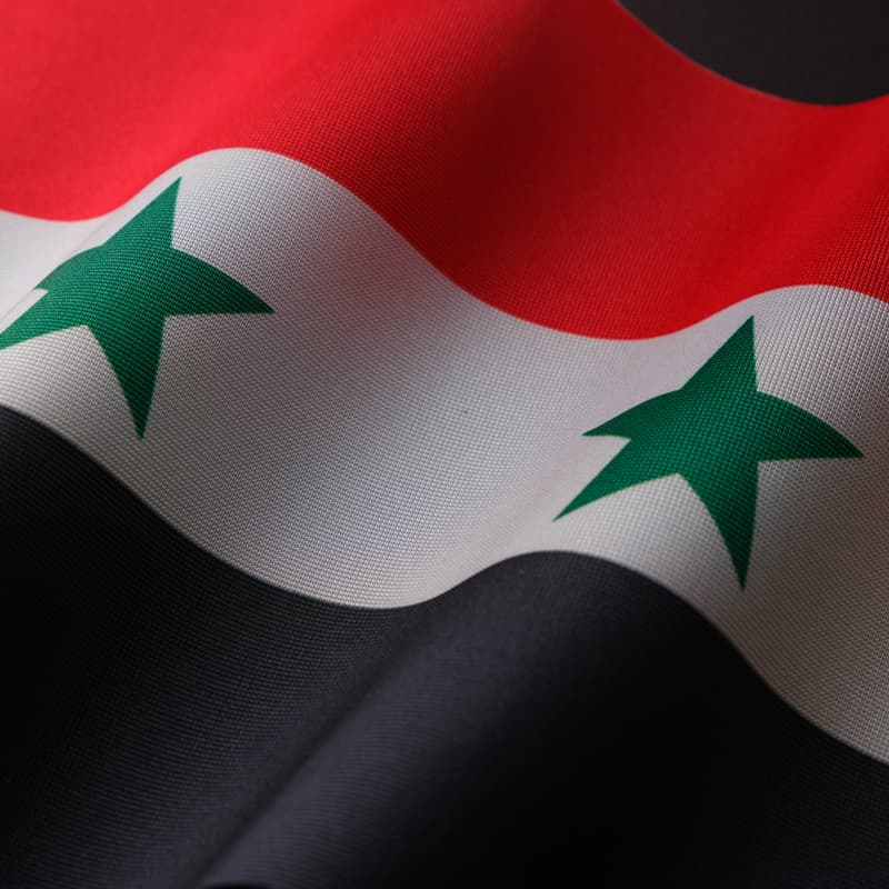 Cover Image for History of the Syrian Civil War