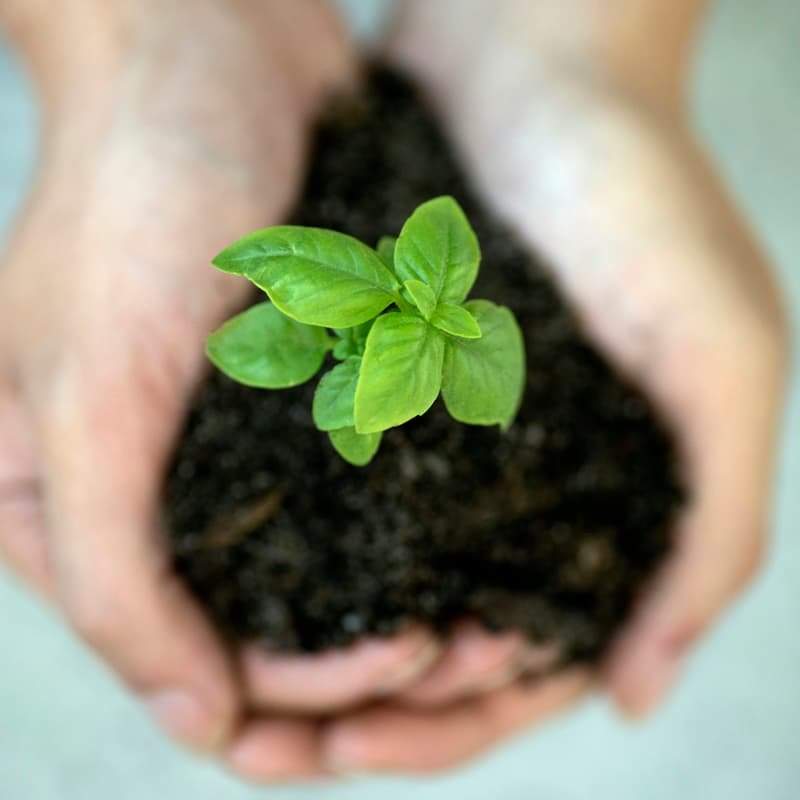 Cover Image for Why Compostable Packaging Still Ends Up in Landfills, And How We Fix It