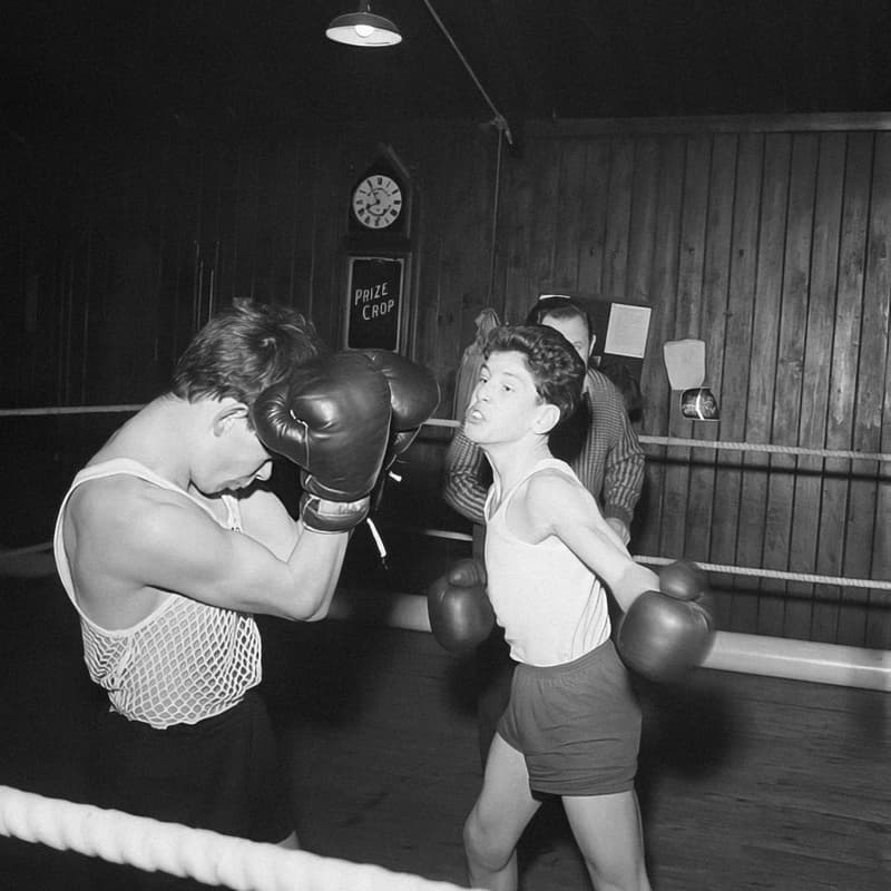 Cover Image for 🥊 👯‍♀️ VC Knockout: Female VC Boxing Spectacular