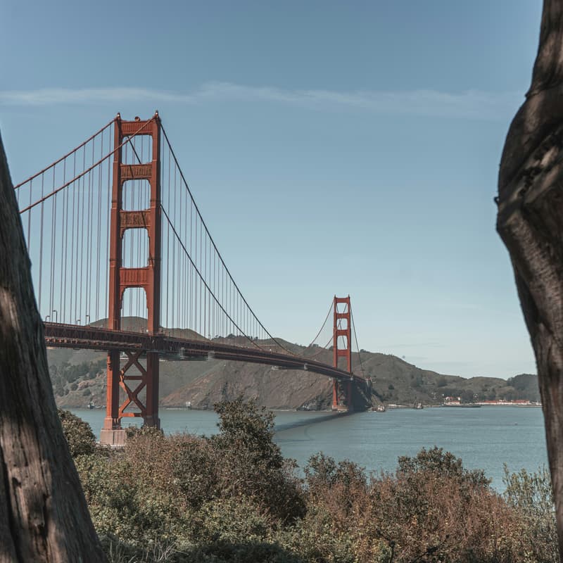 Cover Image for Golden Gate Park Walk