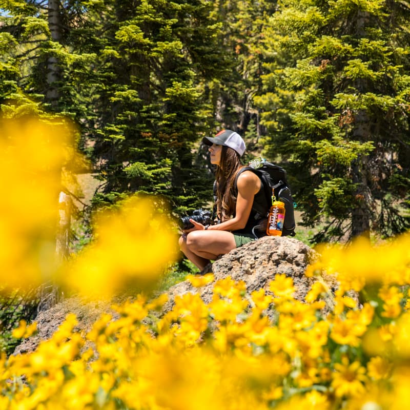 Cover Image for Spring Hike: Fresh Air!