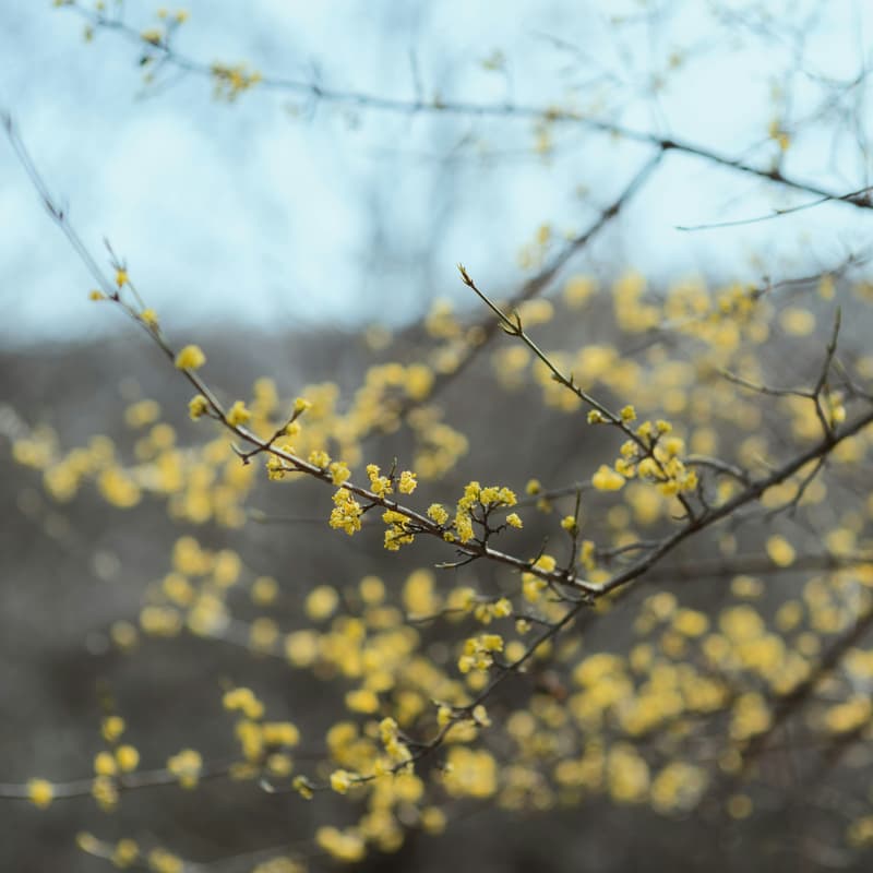 Cover Image for Regen Explore