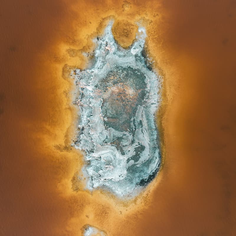 Cover Image for Frontiers in Fibrosis @ age1