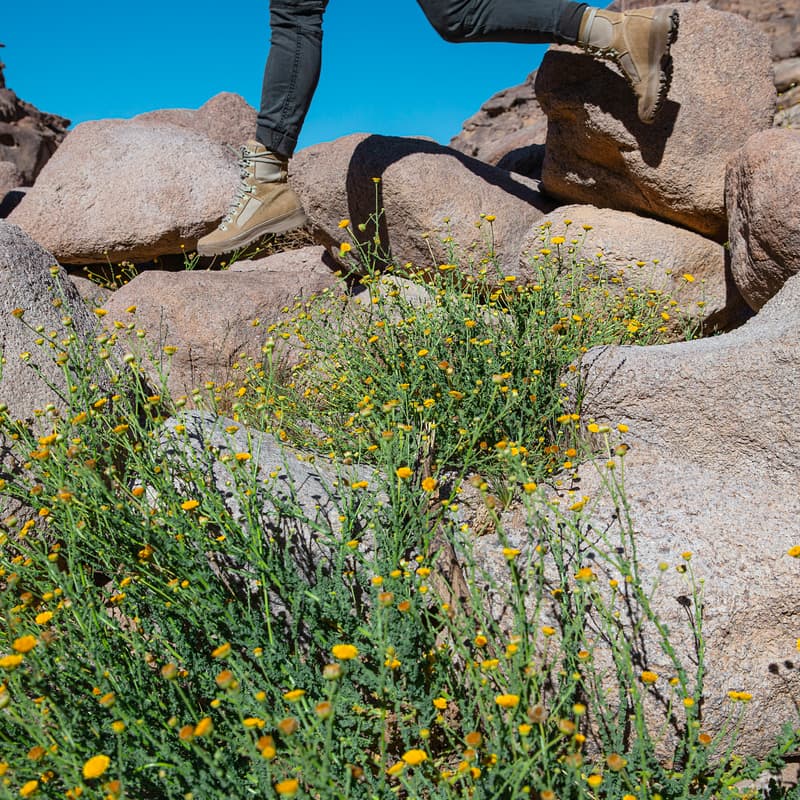 Cover Image for Patina Hike!