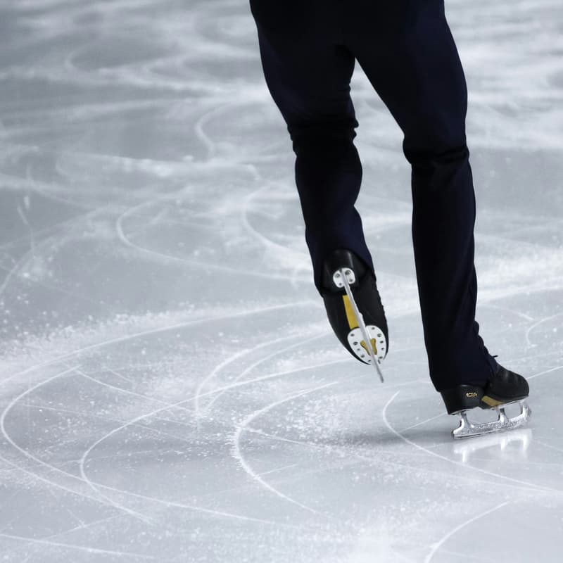 Cover Image for TBD: Ice Skating (we'll rent the rink!)