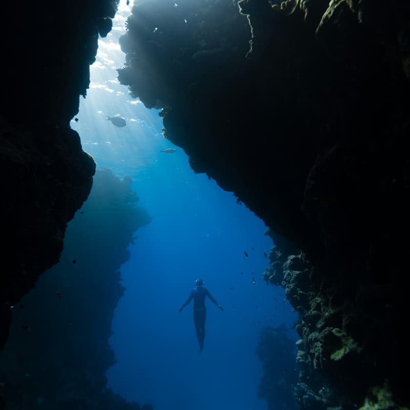 Cover Image for Inner Resilience for Ocean-Climate Resilience