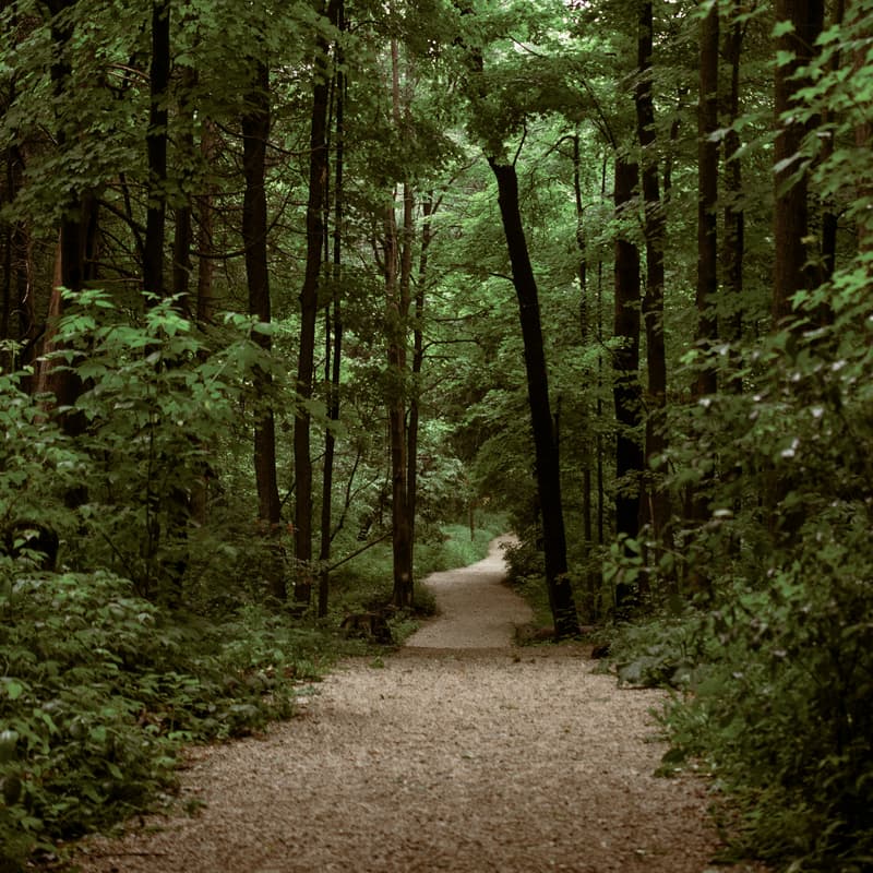 Cover Image for Walk and Talk #3