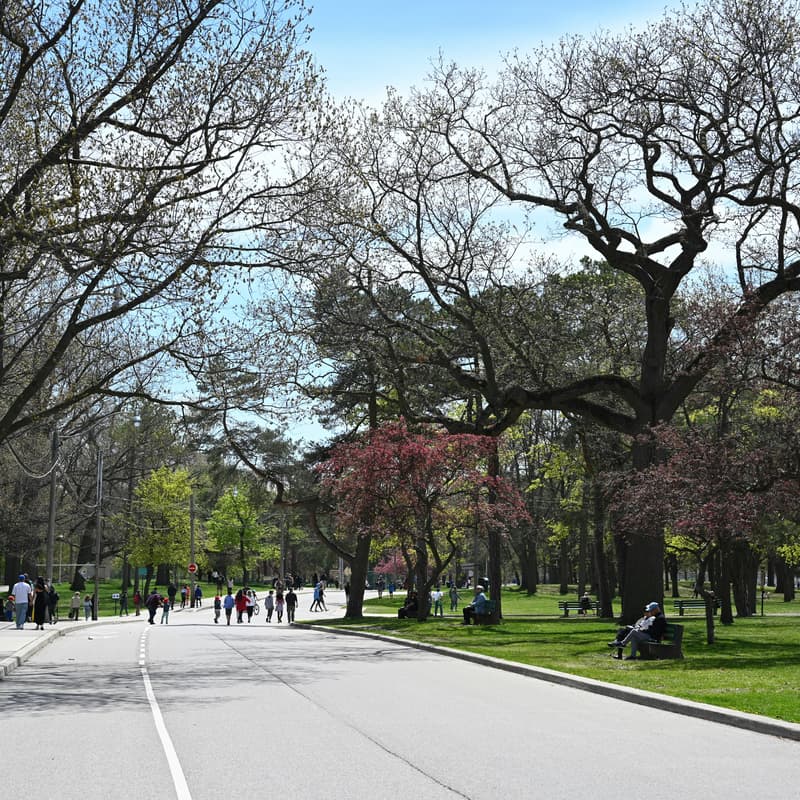 Cover Image for Sustainability Coffee Hike: Meet, Walk & Chill @ High Park