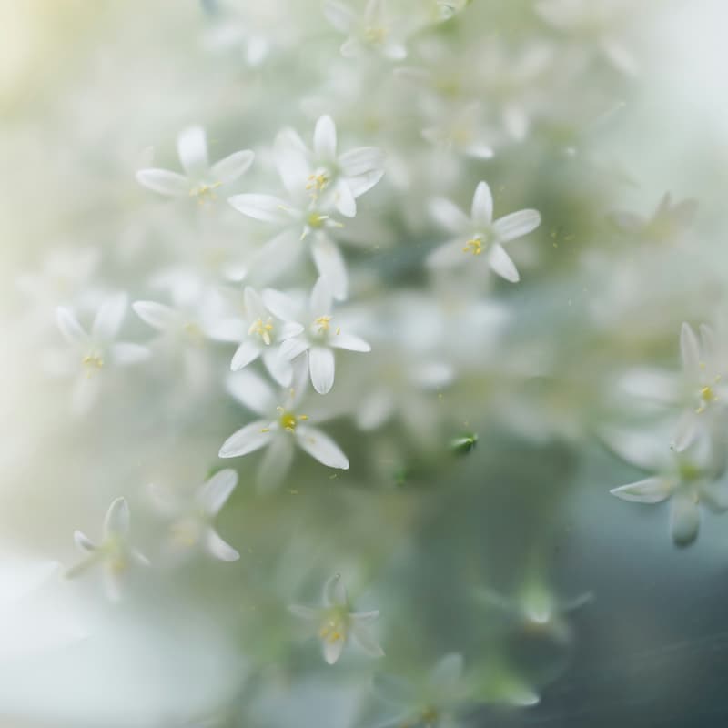 Cover Image for "A Time Within," a mindfulness session for founder resilience for the Unshackled Community