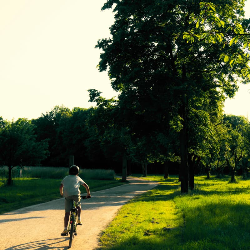 Cover Image for Cycling thru Golden Gate Park [members & +1s]