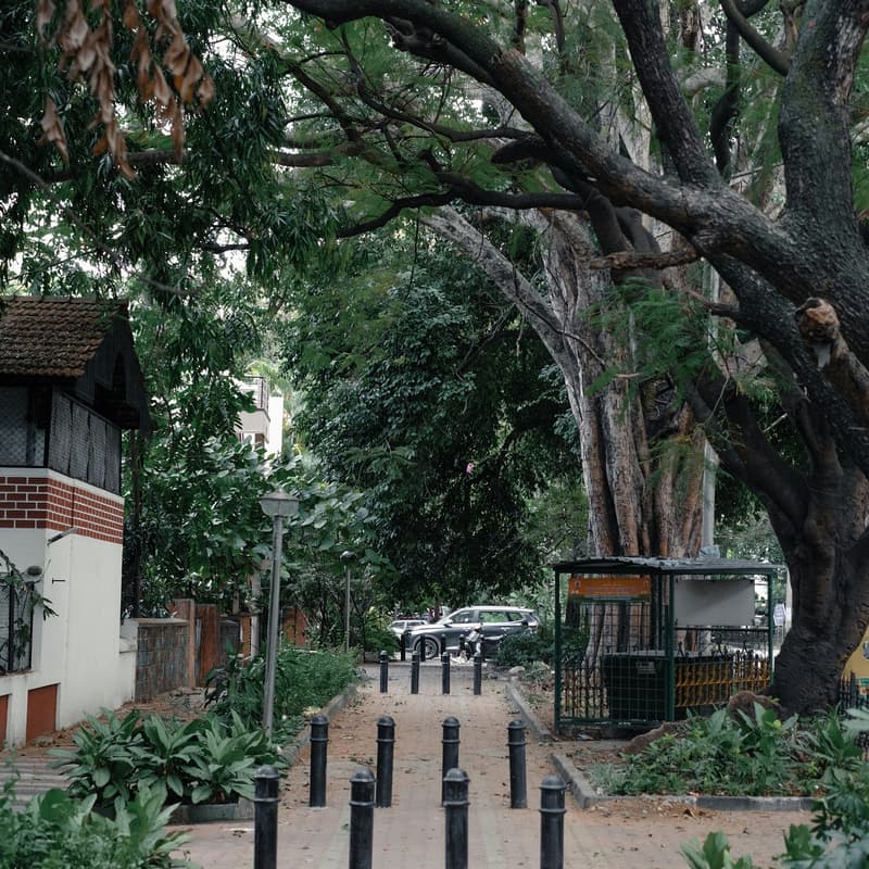 Cover Image for Let's walk and talk: किस्का शेहर? किस्ने बनया? (Udaipur)