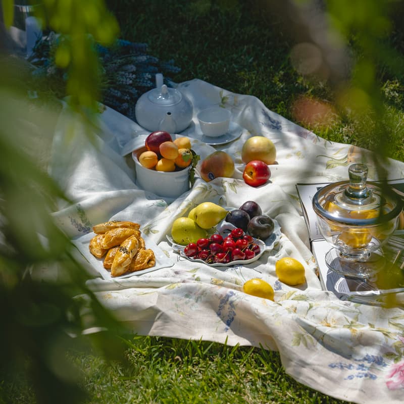 Cover Image for Effective Altruism Community Picnic