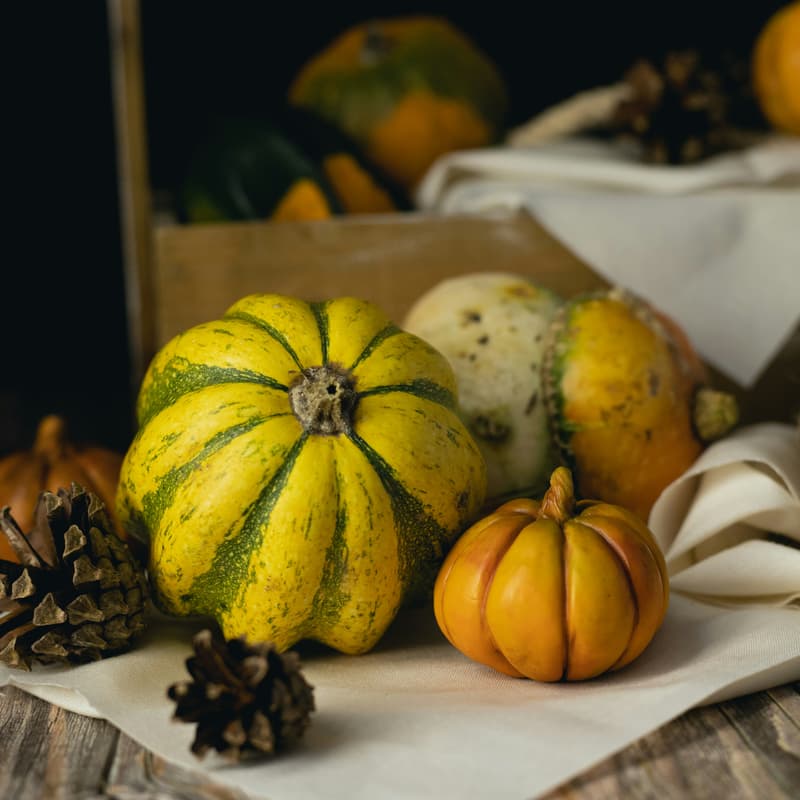 Cover Image for Pumpkin Still Life; Oil Painting Workshop