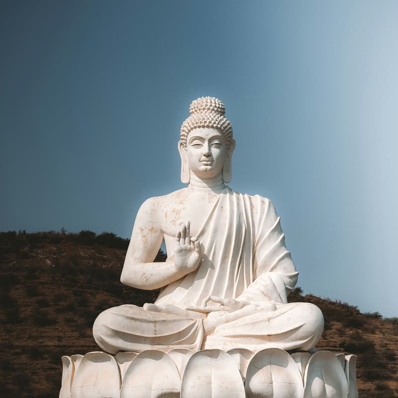Cover Image for Vipassana | Daily Group Meditation 🧘‍♀️🧘‍♂️