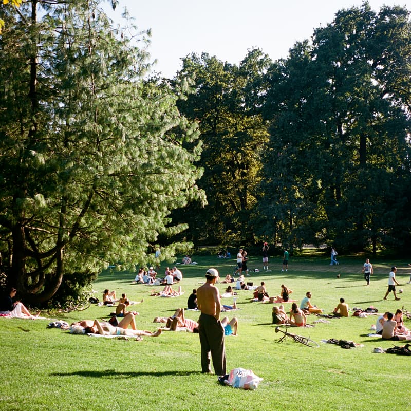 Cover Image for Picnic & More ✨🥨