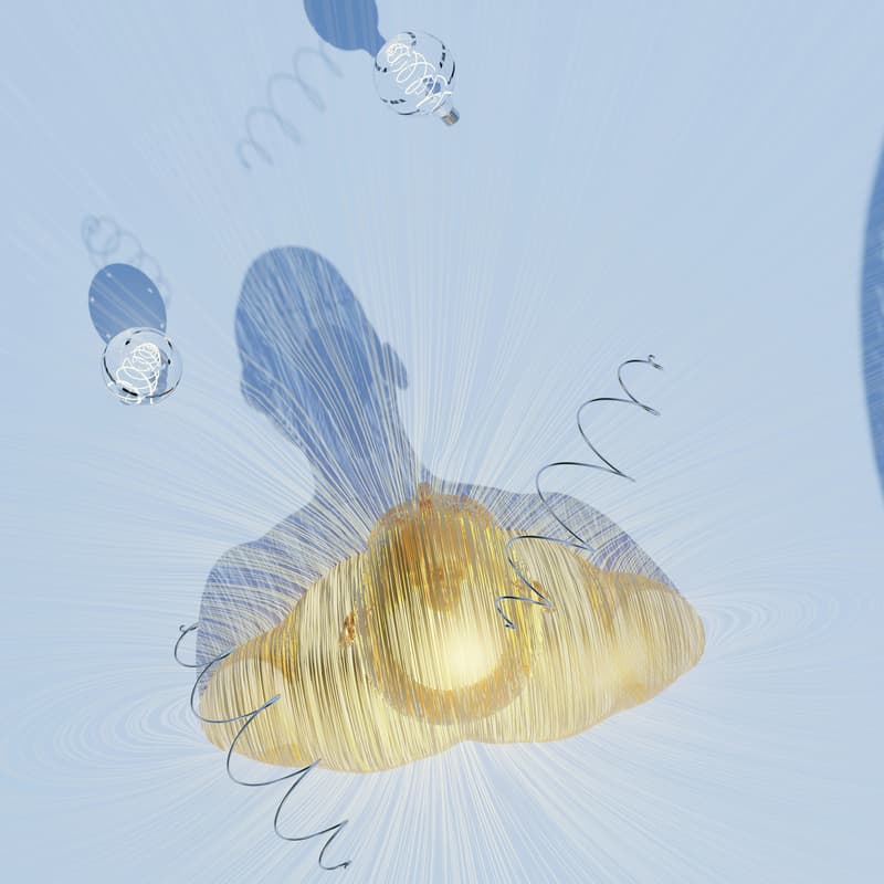 Cover Image for Learn Fast: Boost Your Learning Capacity