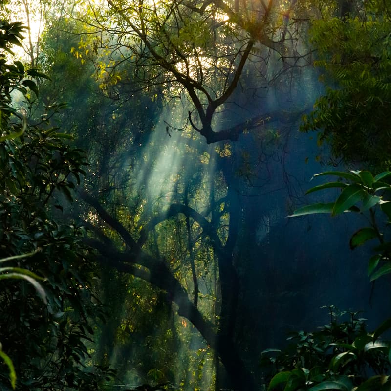 Cover Image for Amazon Nature Tech Forum