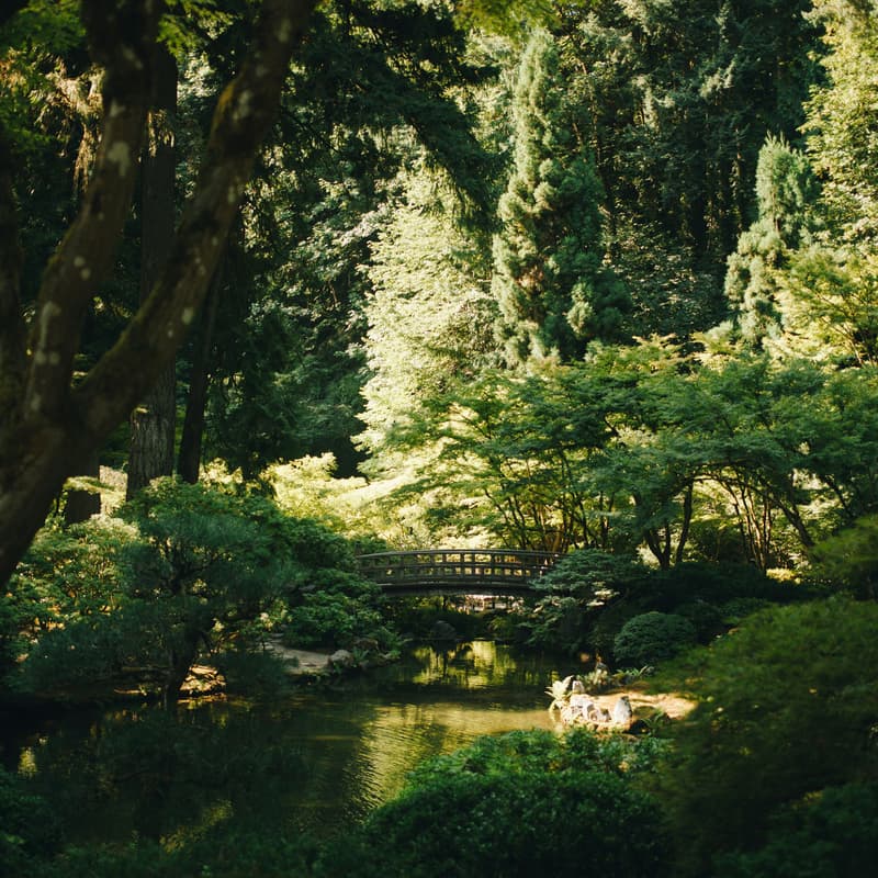 Cover Image for The Secret Garden Social