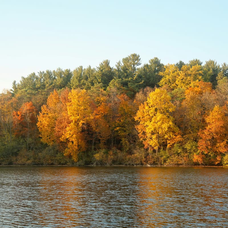Cover Image for Zero Waste Fall Festival at Kiwanis