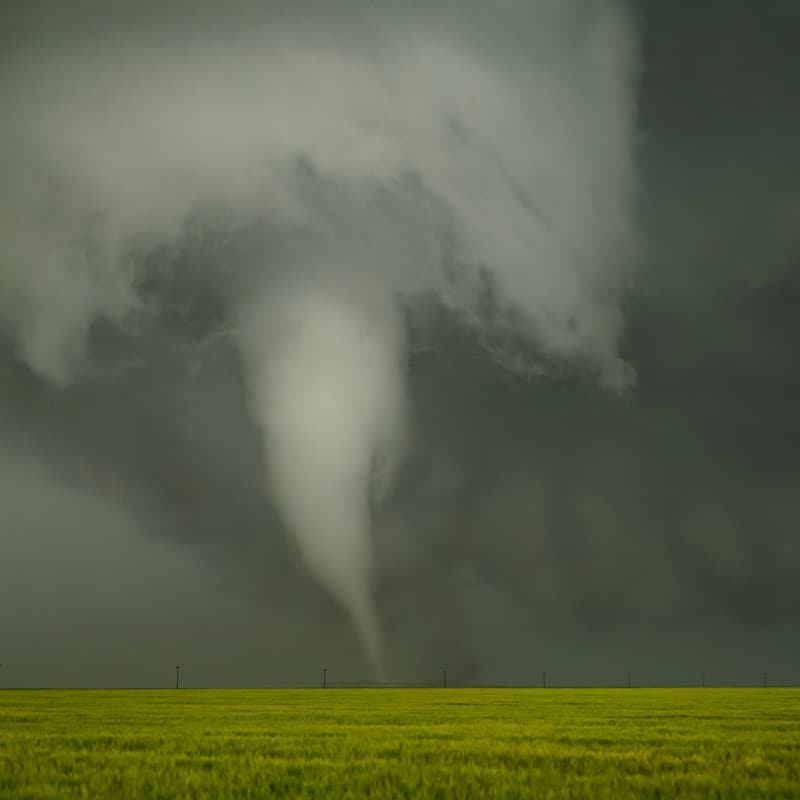 Cover Image for NATURE TECH FOR INSURANCE Powered by Pemberton