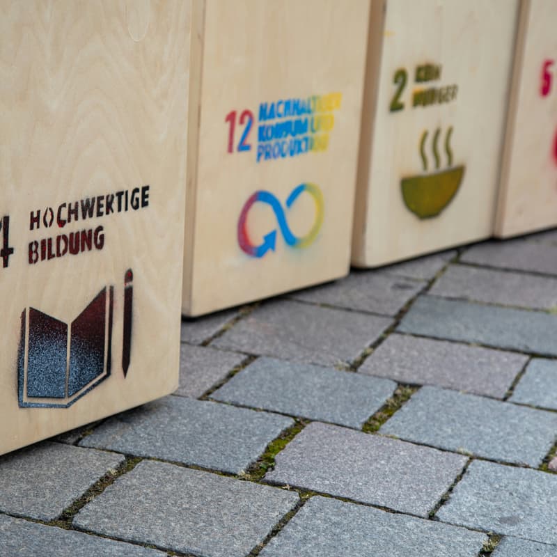 Cover Image for Creating Solutions to meet SDG Challenges with technology