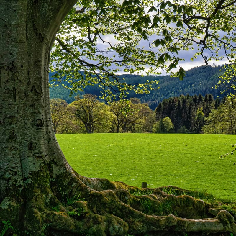 Cover Image for Scotland Tech for Good Retreat